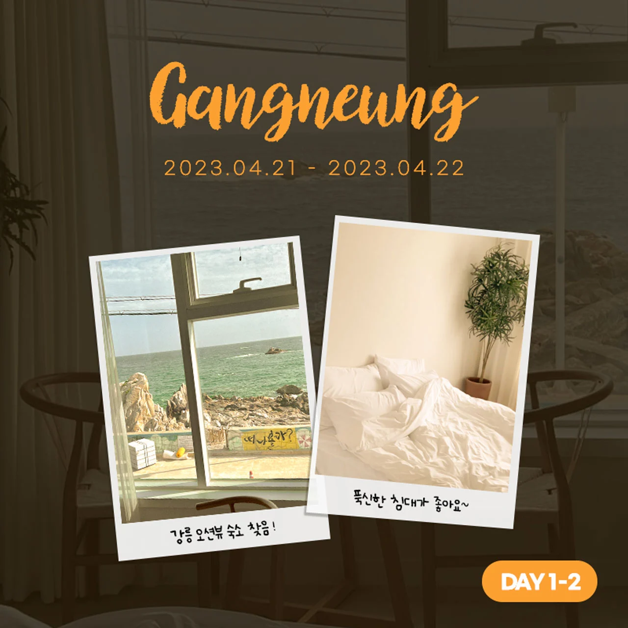 gangneung 7