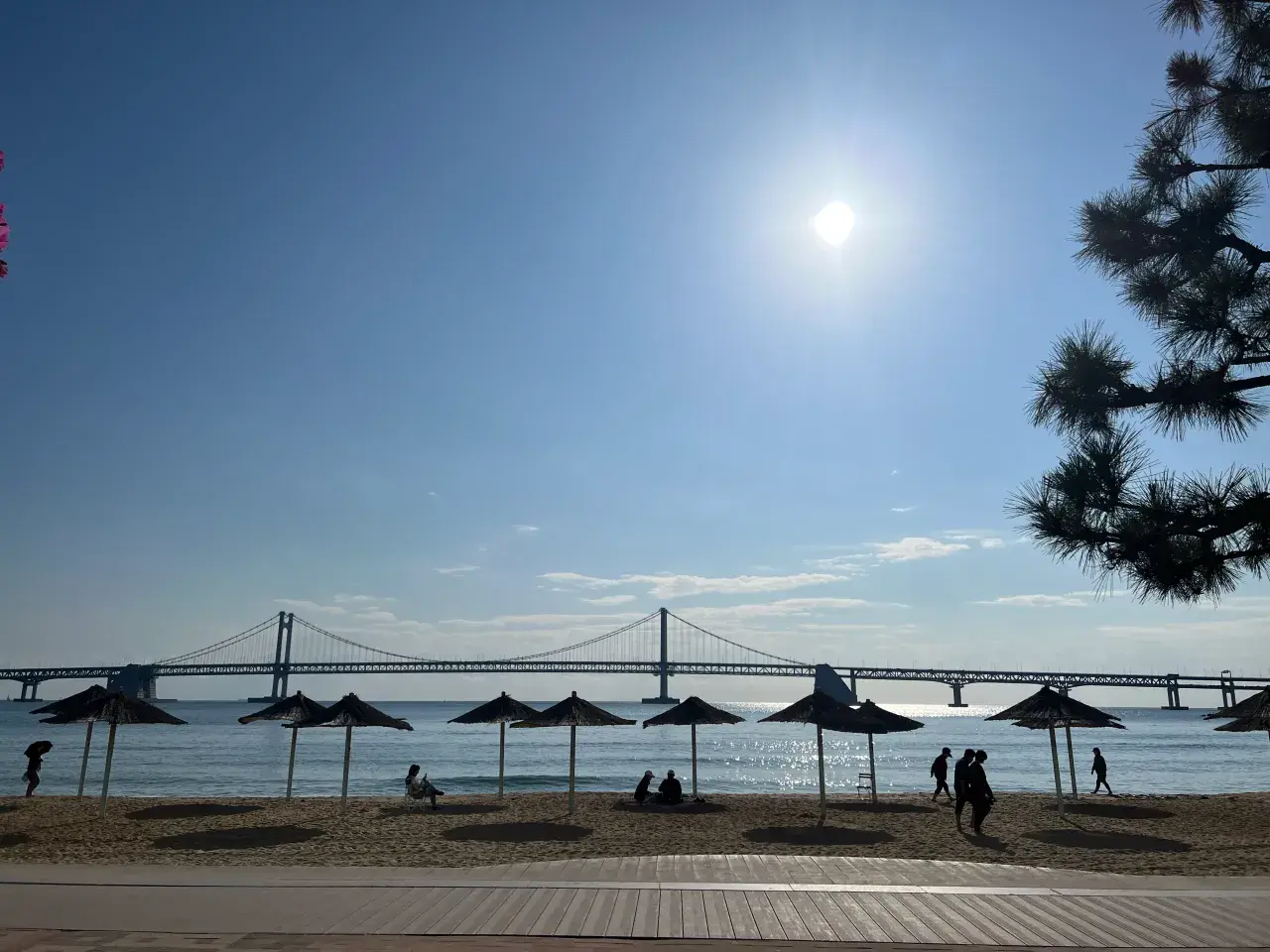 2023-부산바다마라톤-광안리해수욕장