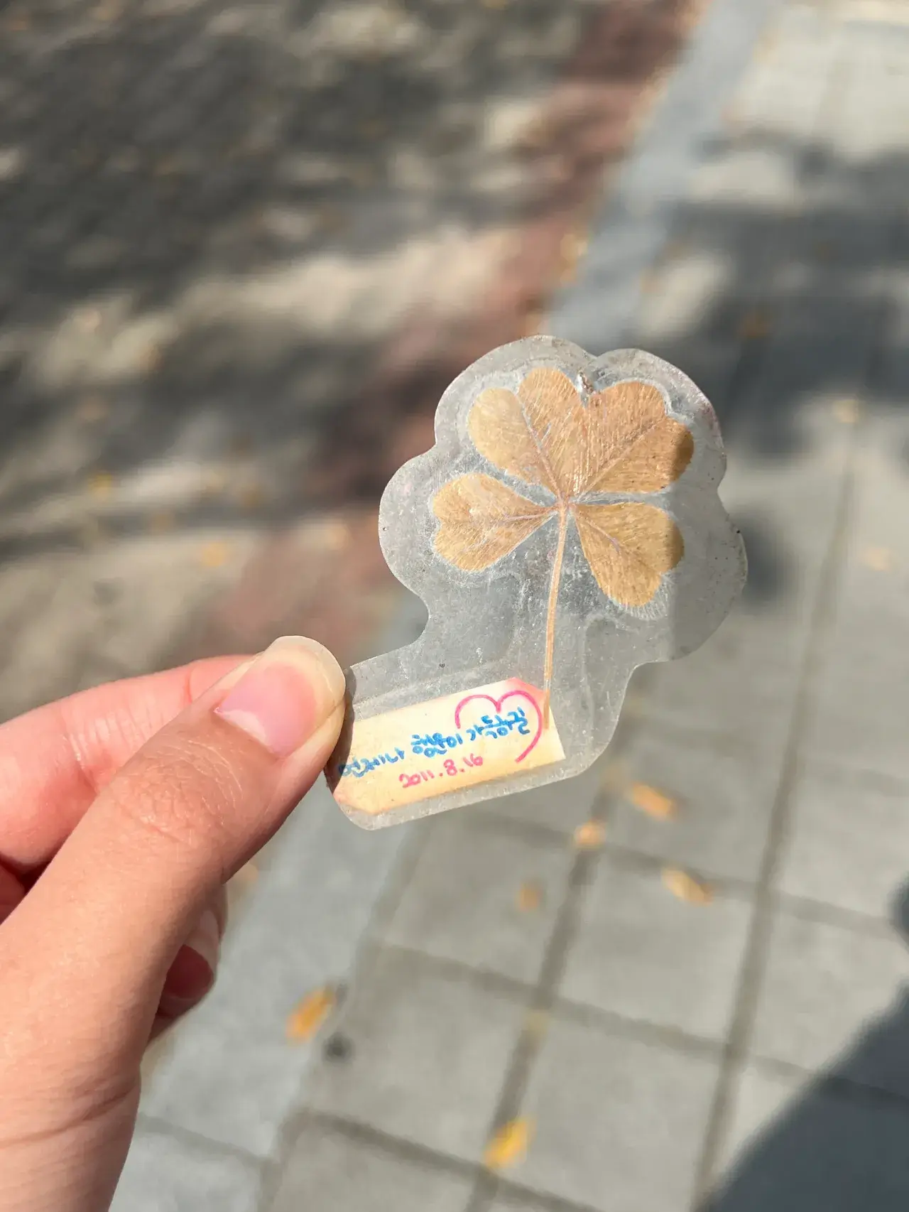 집-가는-길에-주운-네잎클로버