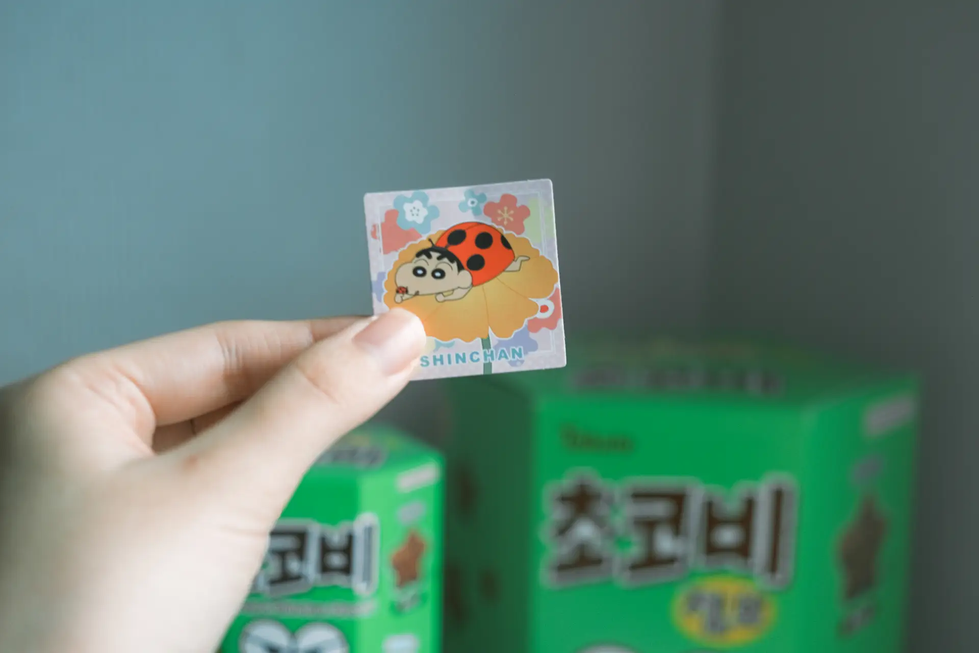 짱구-무당벌레-스티커